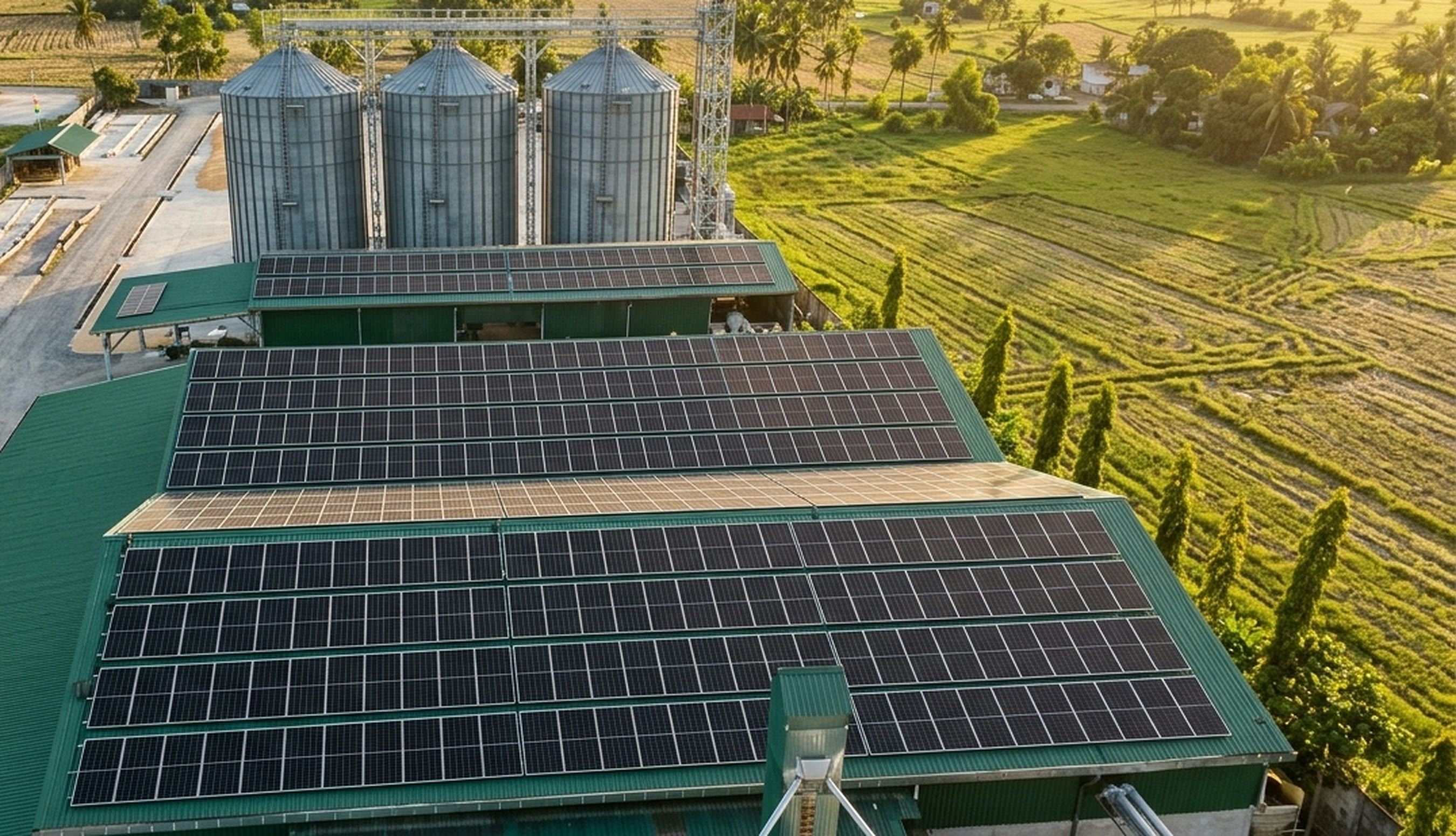 A True East solar installation at golden hour, Oriental Mindoro